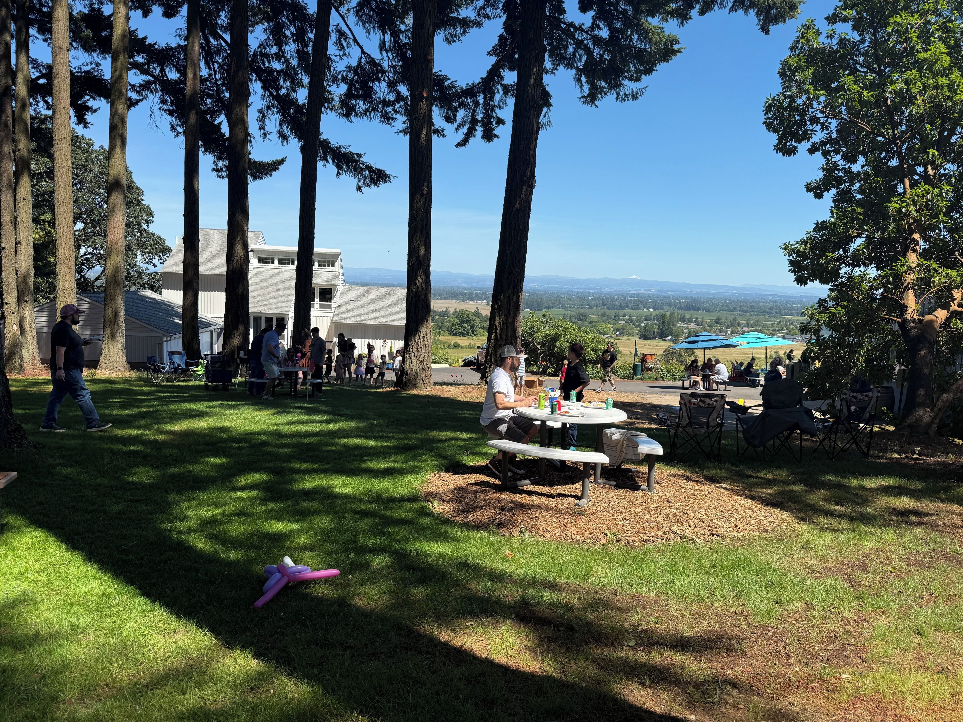 A grassy outdoor area with picnic tables and chairs, surrounded by tall trees and a view of distant hills.