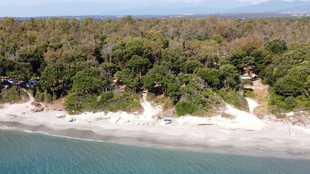 Ein Luftbild einer Küstenlandschaft mit Strand, dichtem Wald und verstreuten Gebäuden.