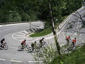 Des cyclistes sur une route avec un rond-point et des arbres en arrière-plan.