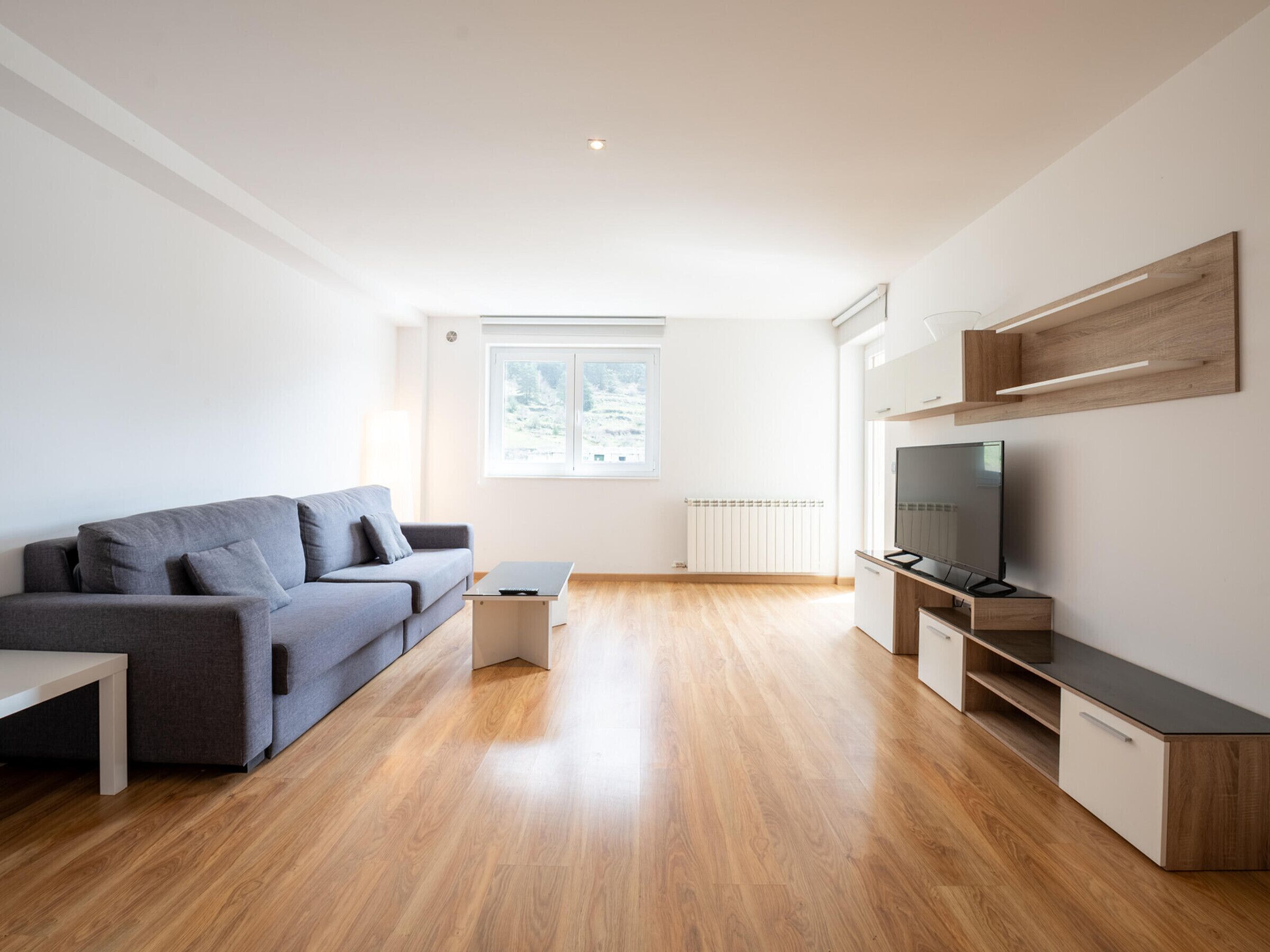 A modern living room with a grey sofa, a TV, and wooden flooring.