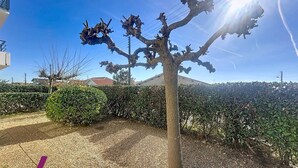 Un árbol con un tronco singular y retorcido en un área ajardinada, con suelo de grava y un seto al fondo.