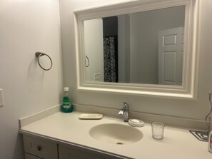 Regadera, secadora de cabello, toallas, jabón 