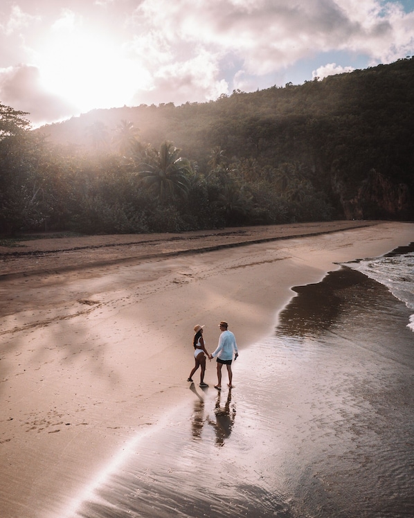 A beach with two people holding hands, a sandy shore, and a forested hill in the background.