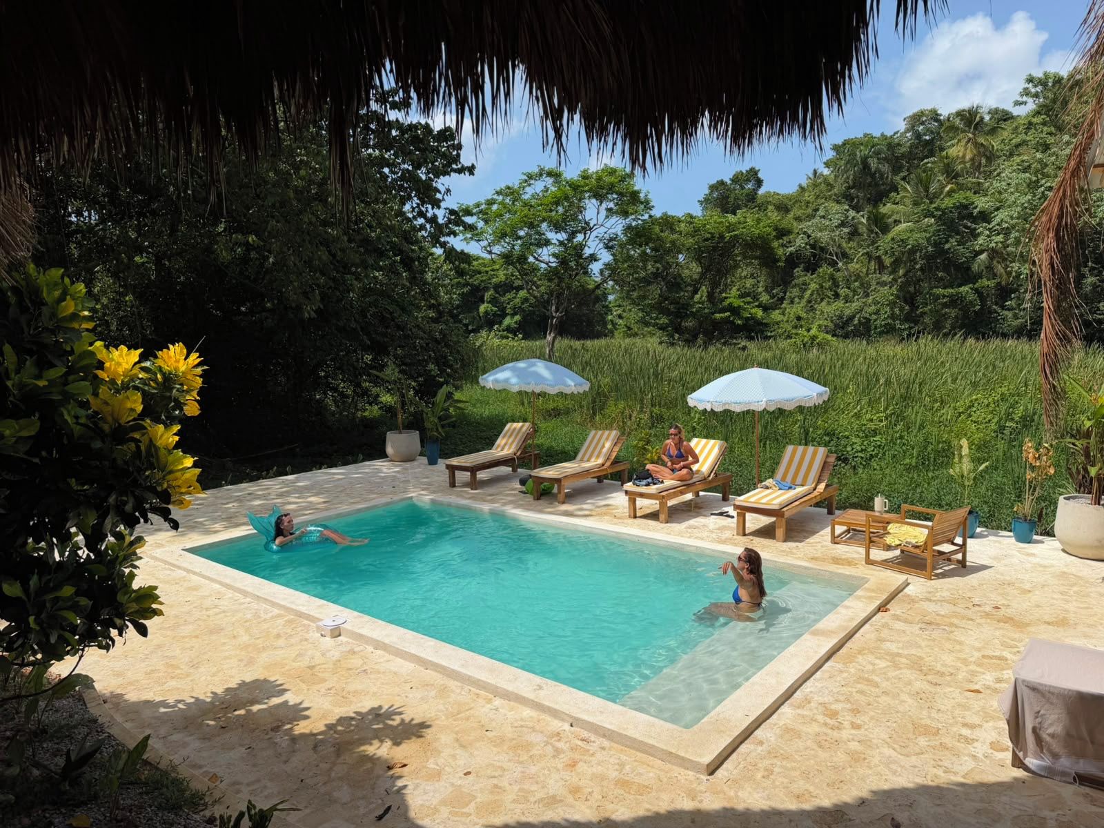 Piscina com espreguiçadeiras e guarda-sóis, cercada por vegetação.
