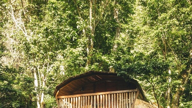 Estructura de madera con techo de paja rodeada de abundante vegetación.