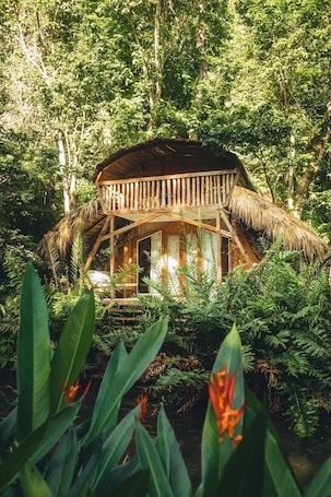 A wooden structure with a thatched roof surrounded by dense greenery.