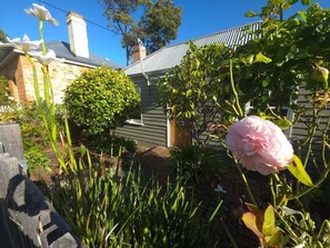 Nicht klassifiziertes Bild, 3 von 24, Schaltfläche