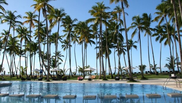 Uma área de piscina com palmeiras e espreguiçadeiras.