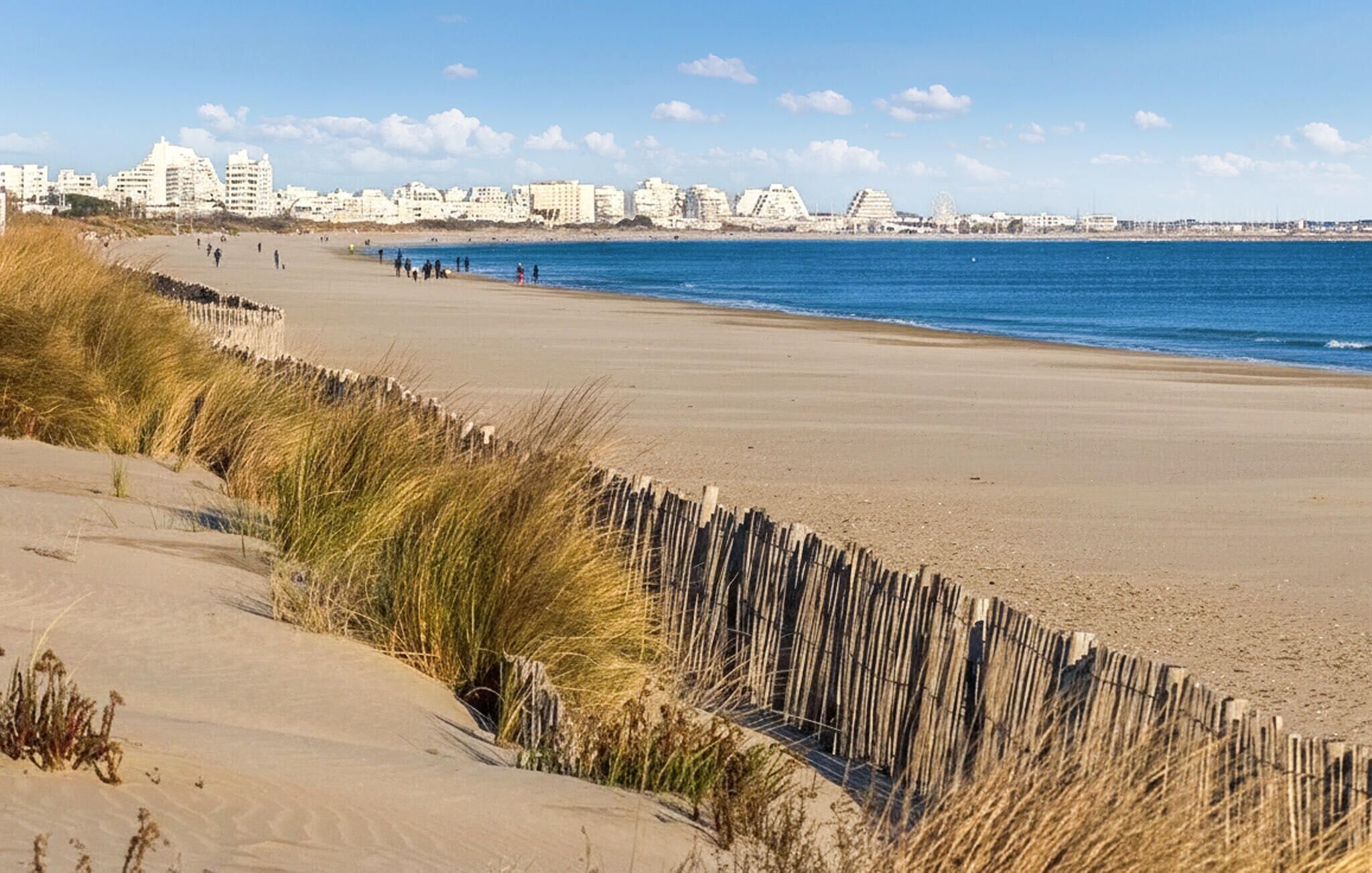 Playa en los alrededores y pesca 