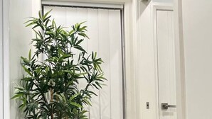 Un plant de bambou en pot dans un coin, une porte blanche et un appareil de climatisation au-dessus de la porte.