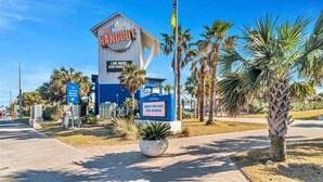 A beachside building with a sign for 'Hangout' and 'Live Music Every Friday Night'. - Beachview 321 Studio across from the Hangout (Gulf Shores)