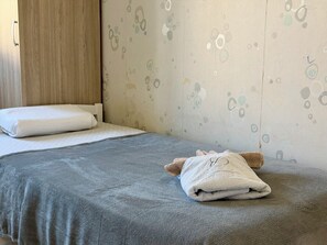 Iron/ironing board, WiFi, bed sheets - L'Horizon de la Cité: Terrace and private parking. (Carcassonne)