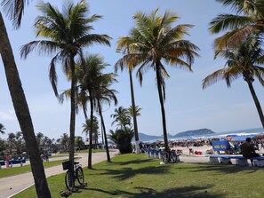 En park ved stranden med palmer, en cykel og et blåt banner med tekst.