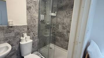 Shower, hair dryer, towels, toilet paper