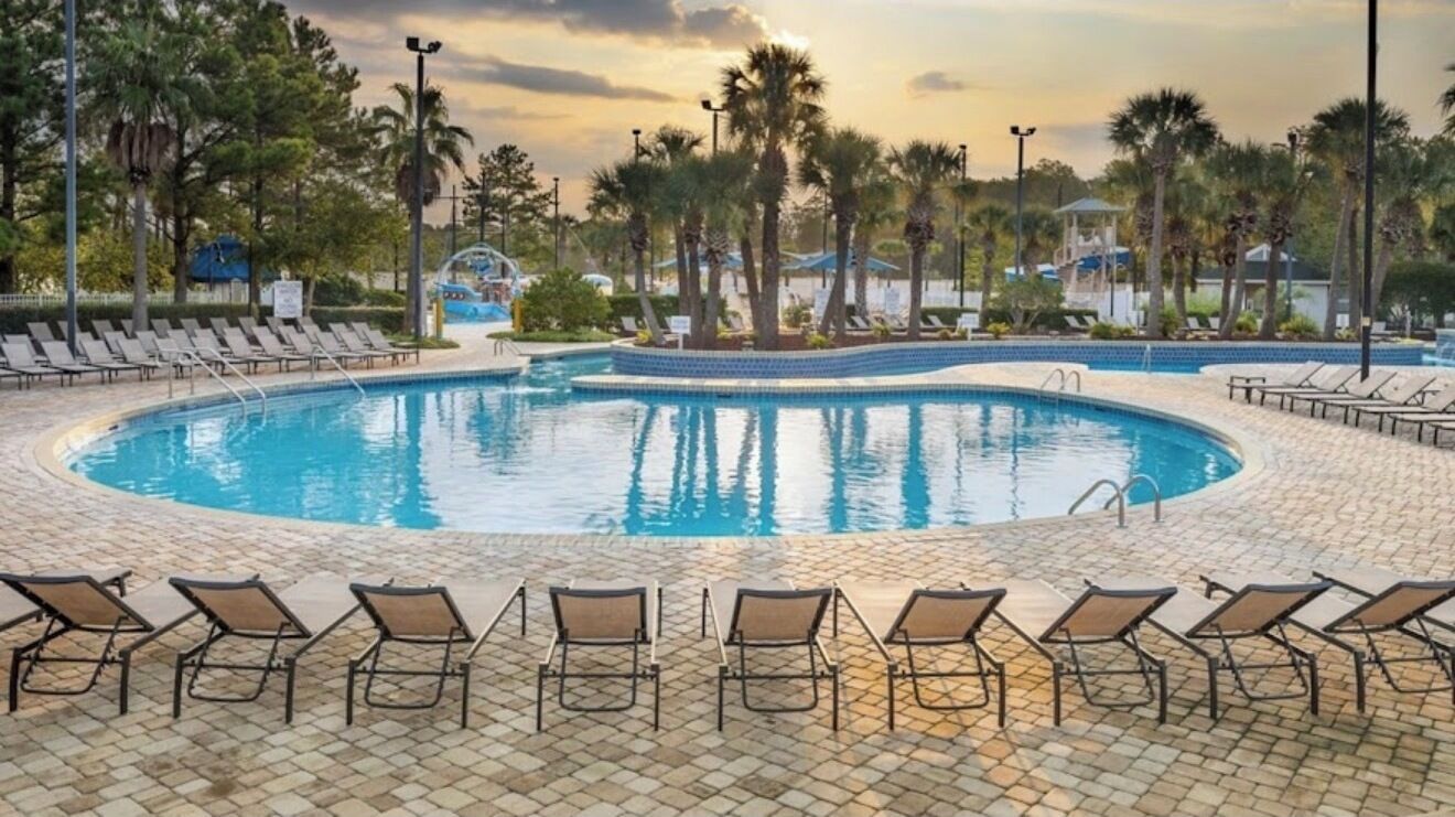 A circular pool with lounge chairs around it, surrounded by palm trees and a clear sky.