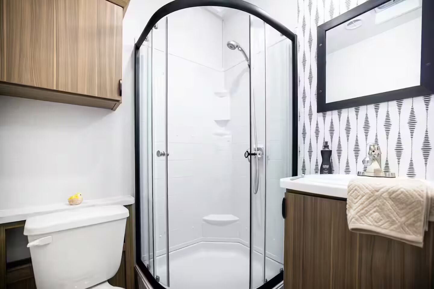 Douche, sèche-cheveux, serviettes fournies, papier toilette