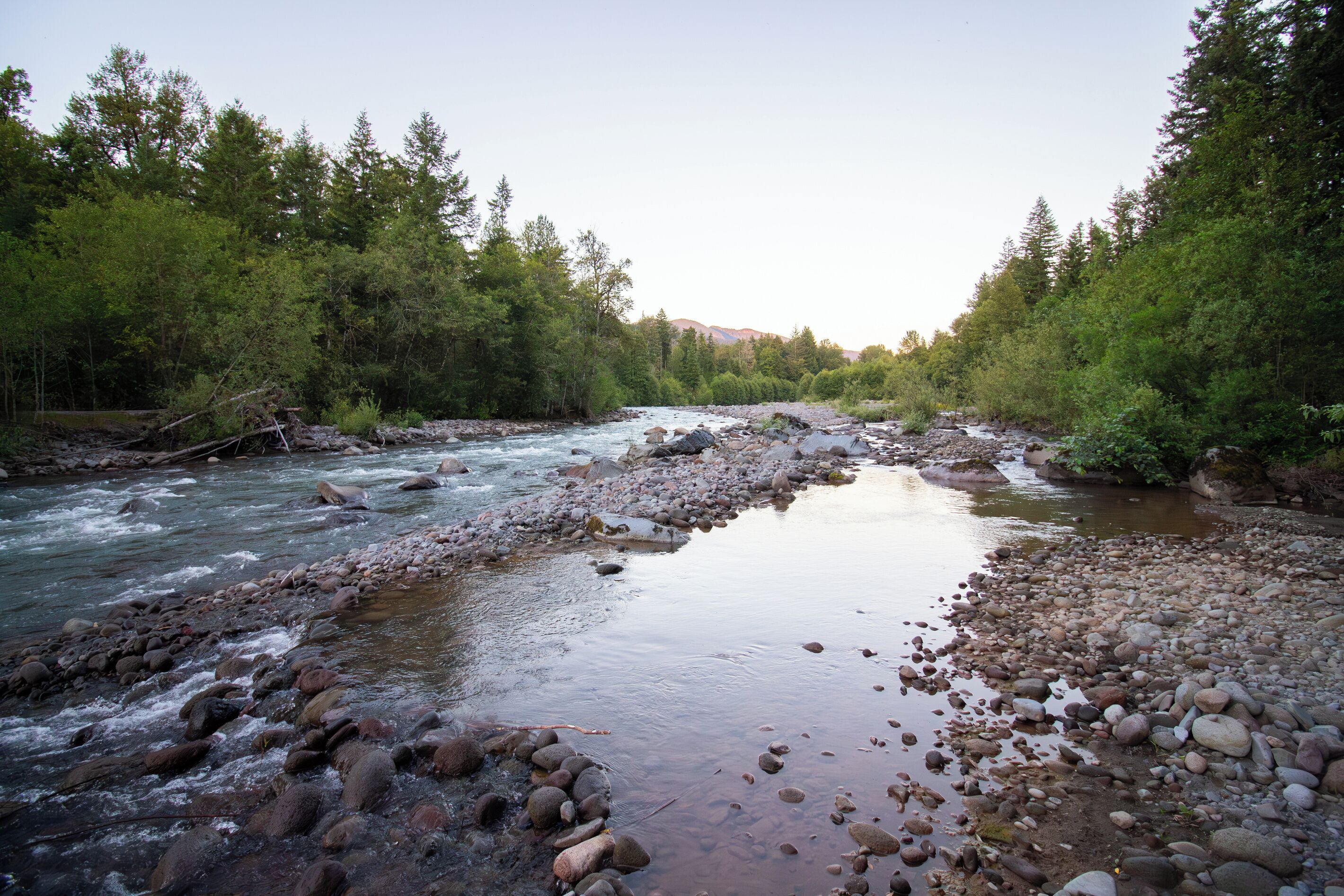 A river flowing through a forested area with rocks and trees.