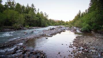 A river flowing through a forested area with rocks and trees.