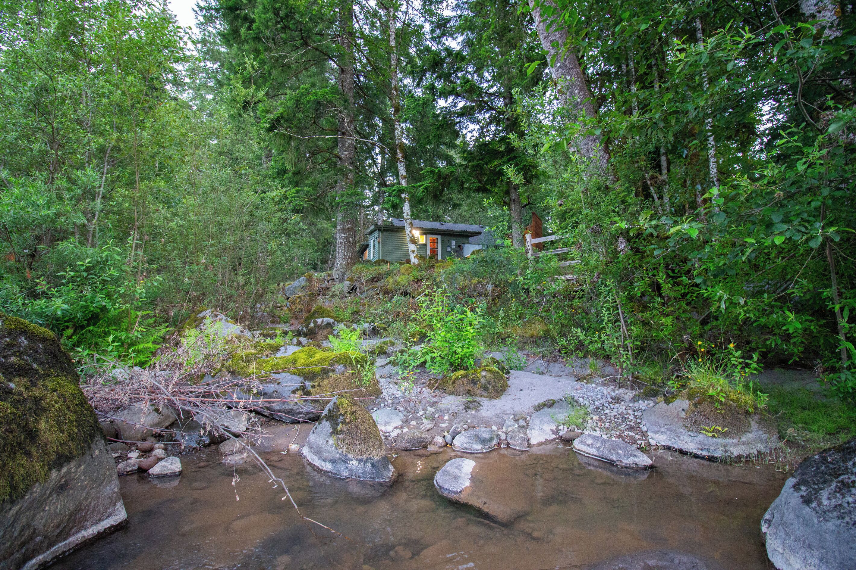 A cabin surrounded by dense forest, with a stream in the foreground.