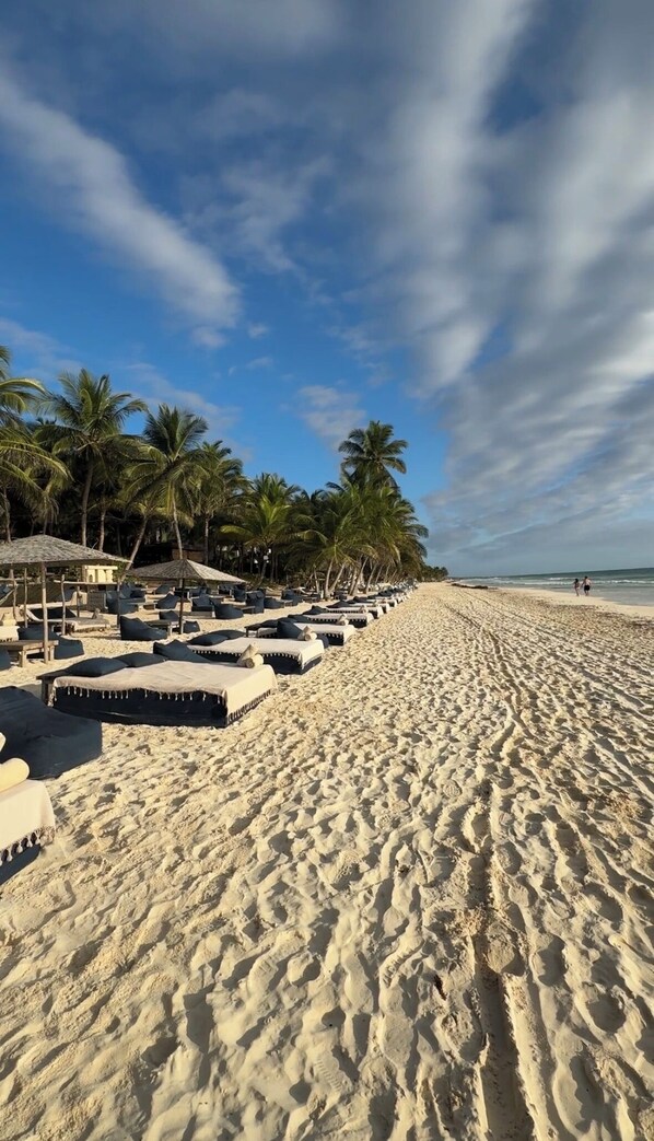 Ein Strand mit Reihen von Liegestühlen und Sonnenschirmen, Palmen und einem klaren Himmel.