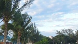 A beach with palm trees, a sandy shore, and a wooden structure. - CostaeCunhaIpe104  (Iguaba Grande)