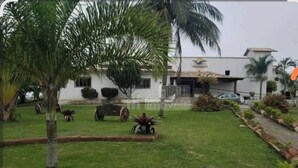 A building with a white facade, palm trees, and a paved driveway. - CostaeCunhaIpe104  (Iguaba Grande)