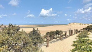 Ett ökenlandskap med en sandstrand, gles vegetation och en klar himmel.