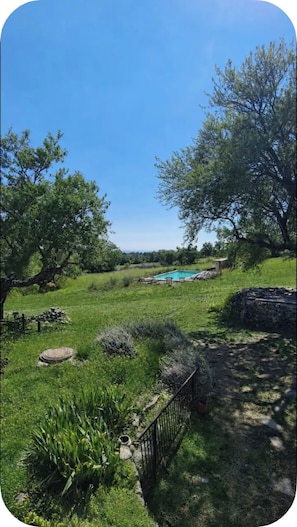A pool surrounded by a grassy area with trees and a stone wall.