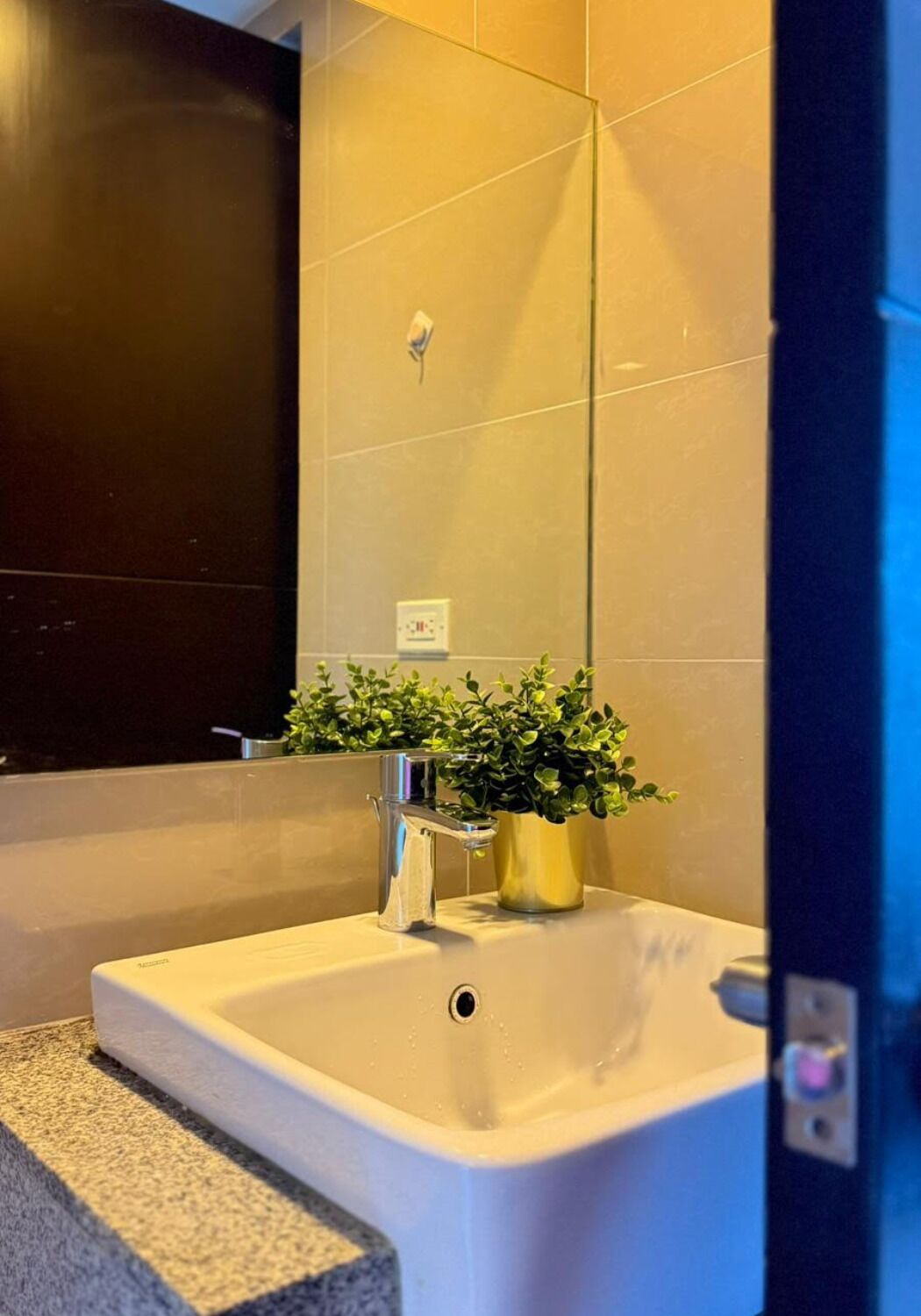 A bathroom with a white sink, a green plant, and a mirror.