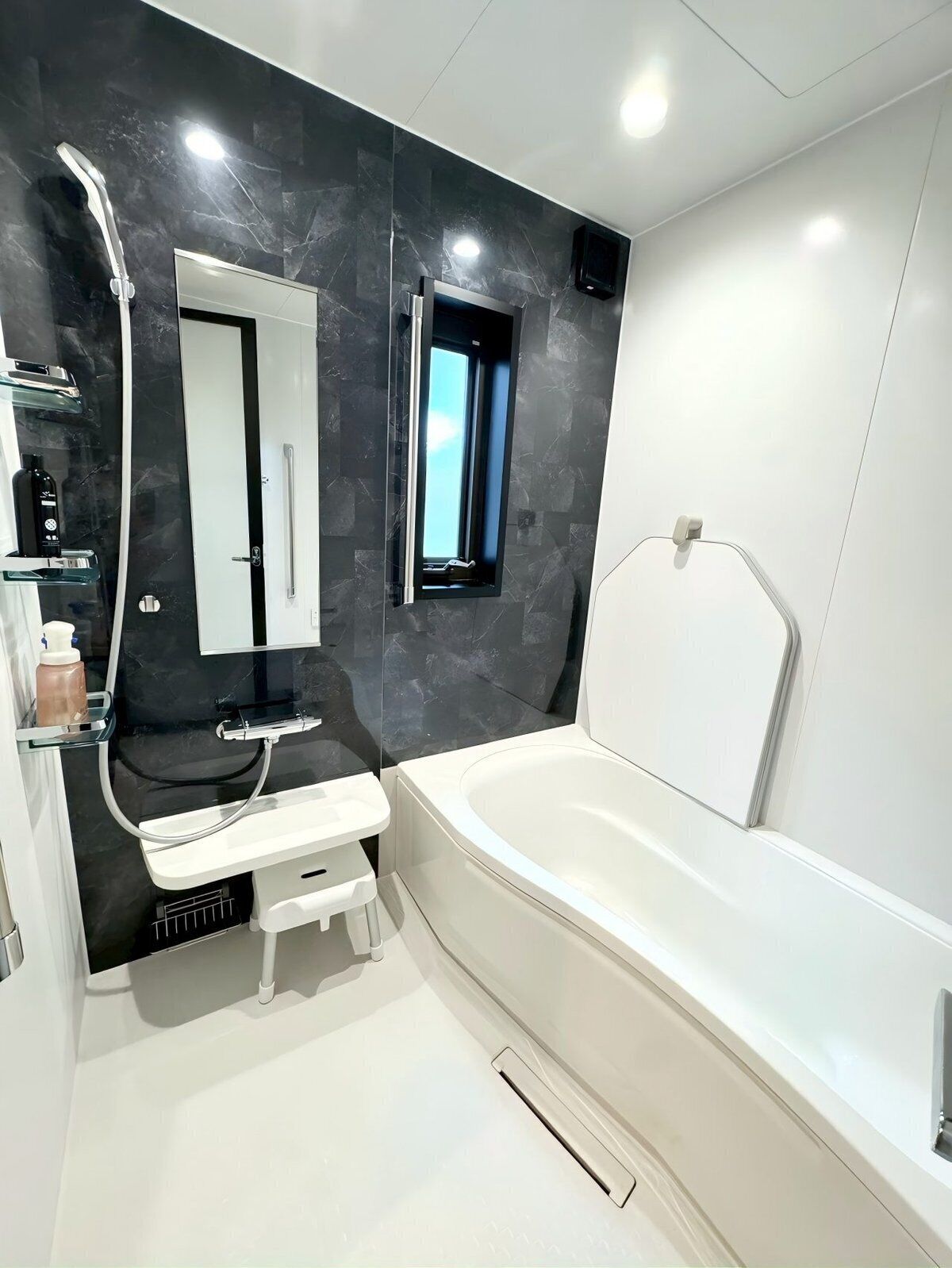 Shower, hair dryer, bidet