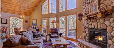 Televisión, chimenea, videojuegos y reproductor de DVD