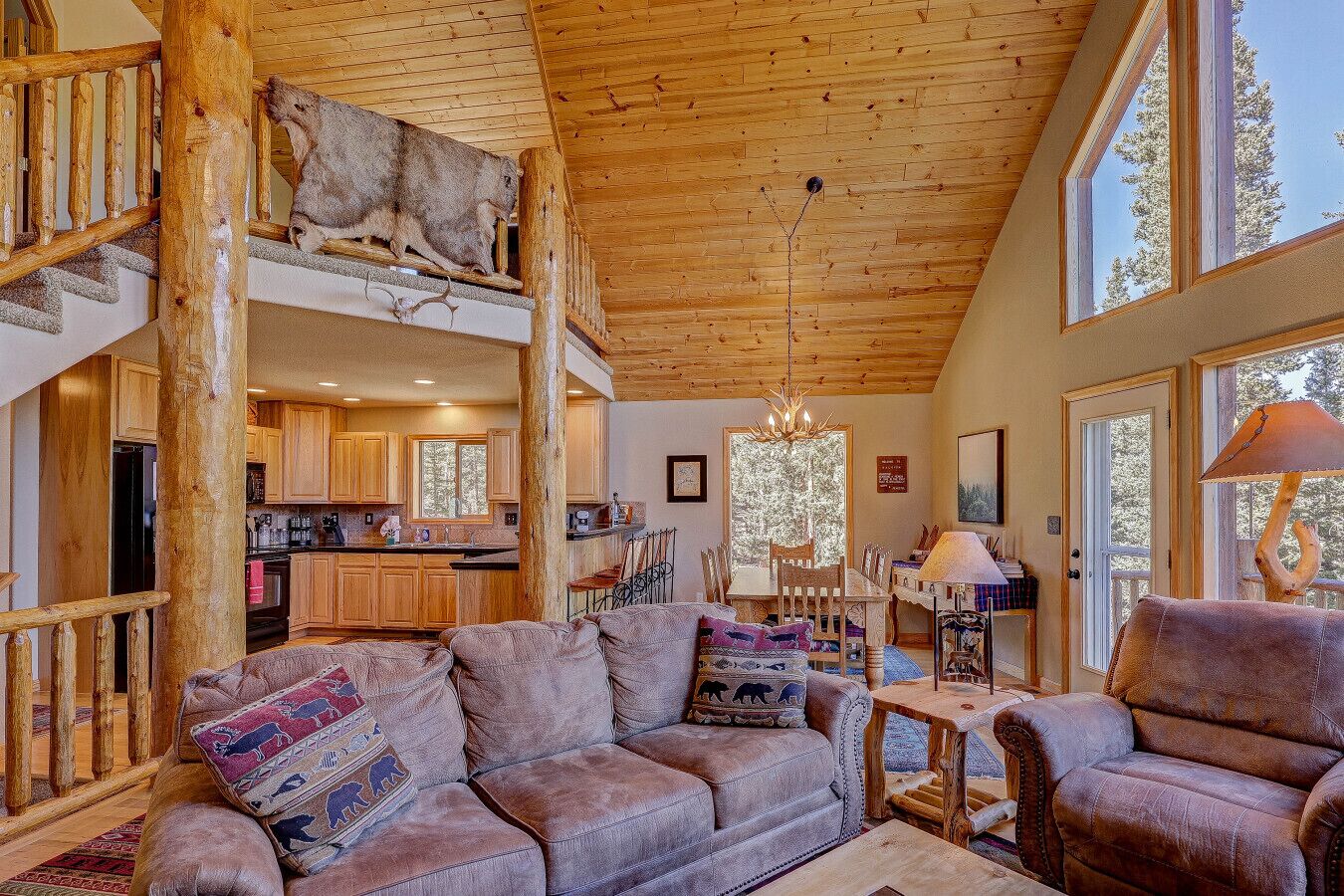 TV, fireplace, video games, DVD player