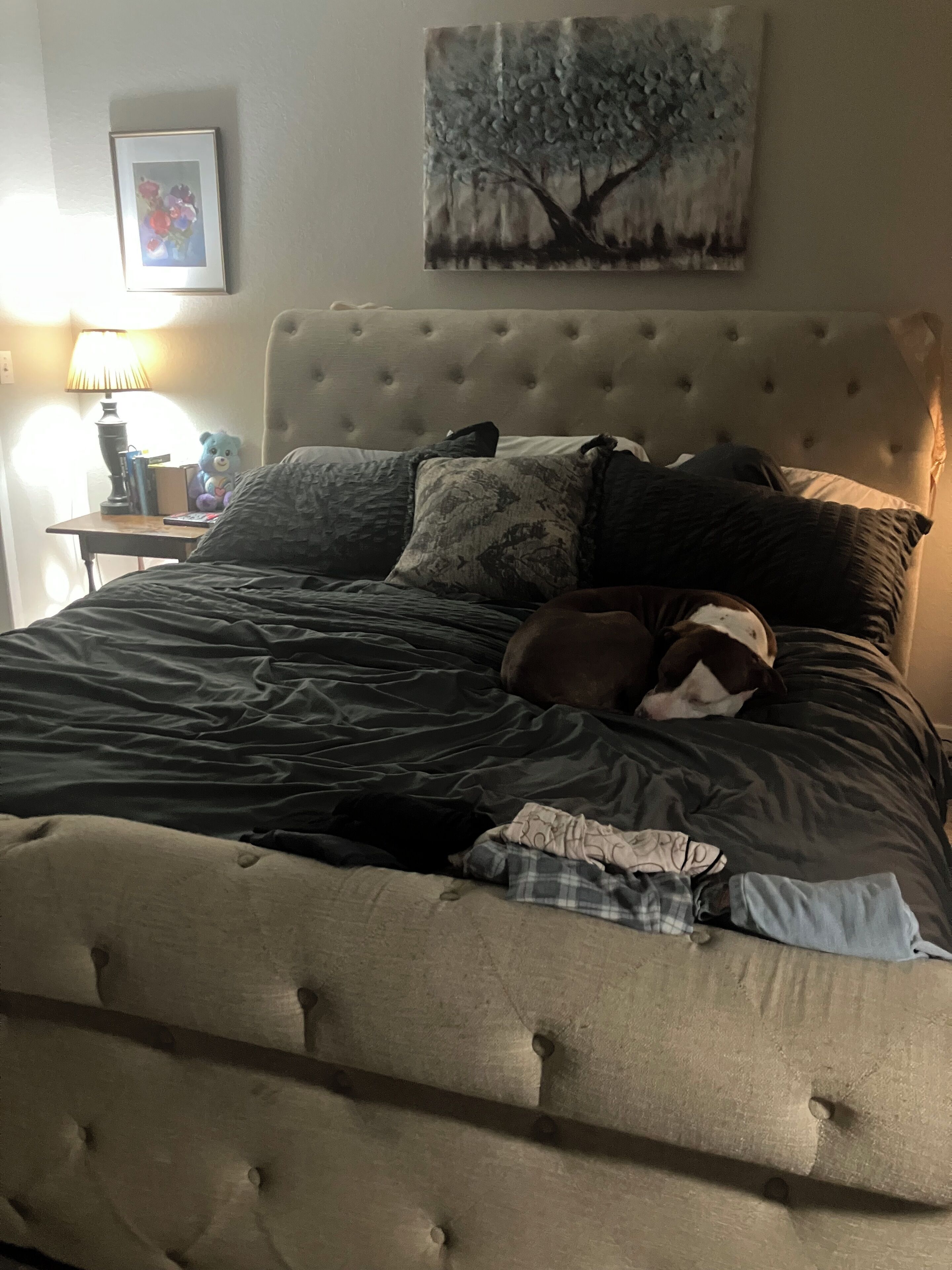 3 habitaciones, wifi y ropa de cama 