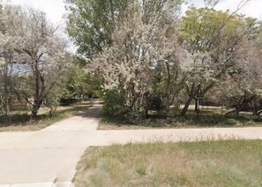 Miscellaneous - 3-bedroom house in serene Westminster with cool AC breeze (Westminster)