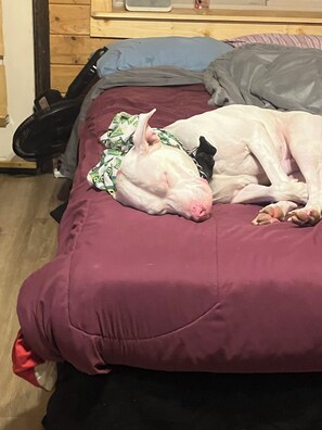 3 Schlafzimmer, WLAN, Bettwäsche