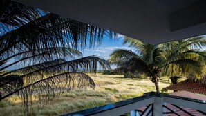 A view from a balcony with a railing, overlooking a grassy area with palm trees and a clear blue sky. - Eufregina Resort & Spa (Cavelossim)