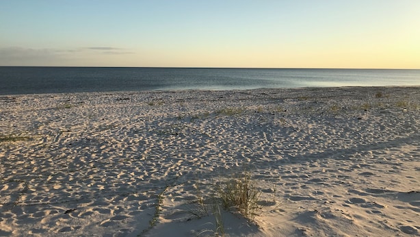 Een strand met een heldere lucht en rustige zee.