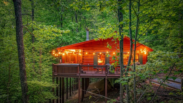 Property grounds - Quiet Cozy Log Cabin • Hot Tub • King Suite • Dogs • EV Charger Lvl 2 (Blue Ridge)