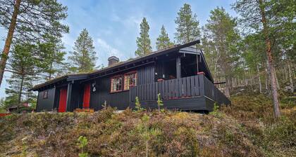 Nice home in Rendalen with house a panoramic view