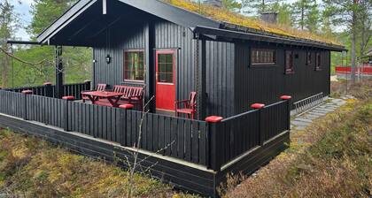 Nice home in Rendalen with house a panoramic view