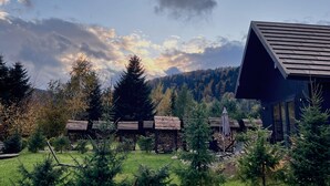 Un chalet rustique avec un toit en pente, entouré d’un jardin bien entretenu et de grands arbres à feuilles persistantes.