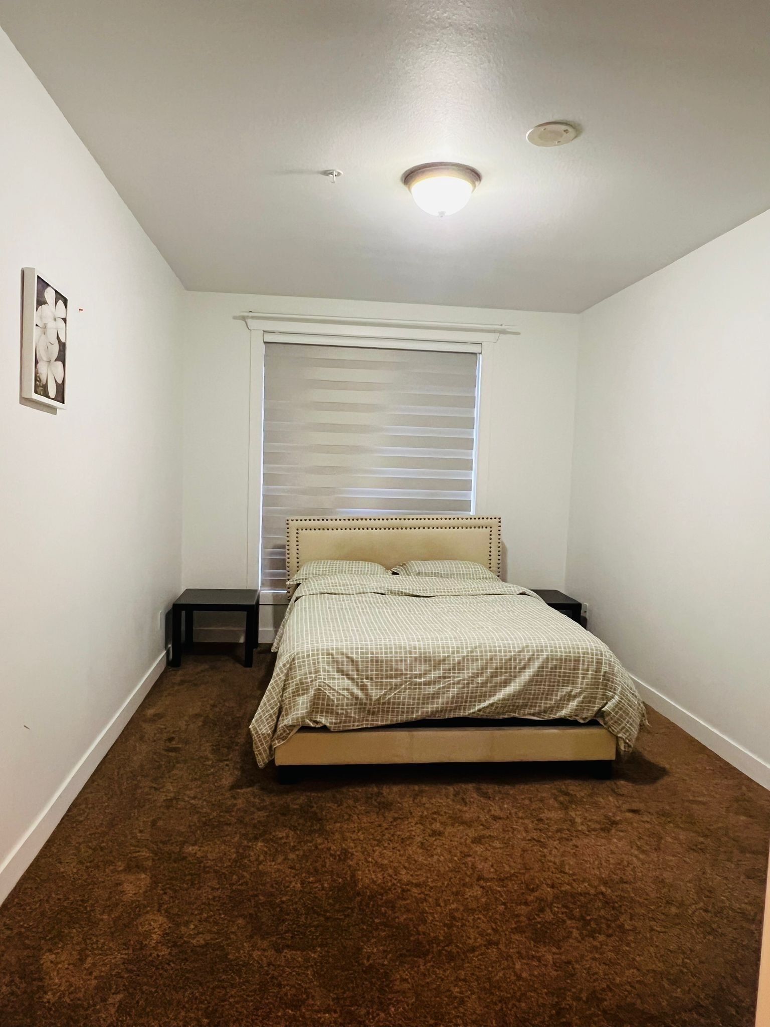 WiFi, bed sheets