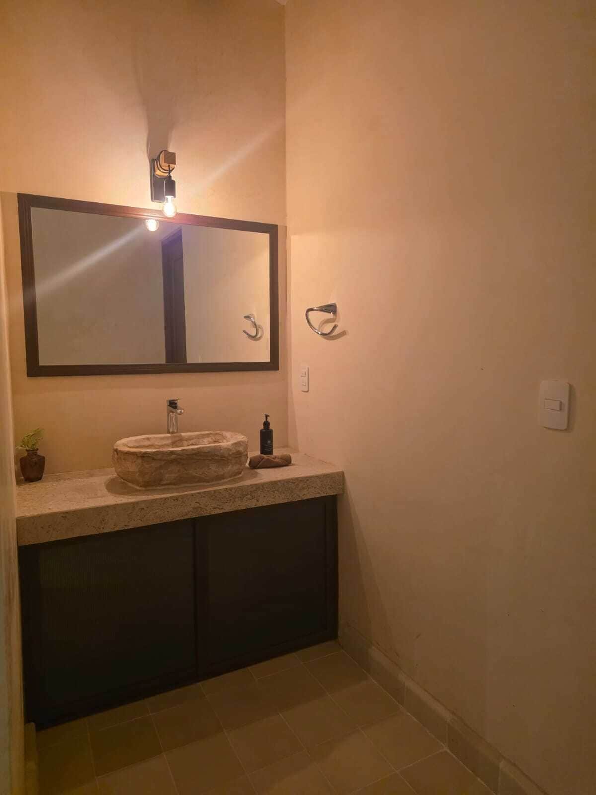 A bathroom with a large mirror, a stone sink, a small plant, and a wall-mounted light.