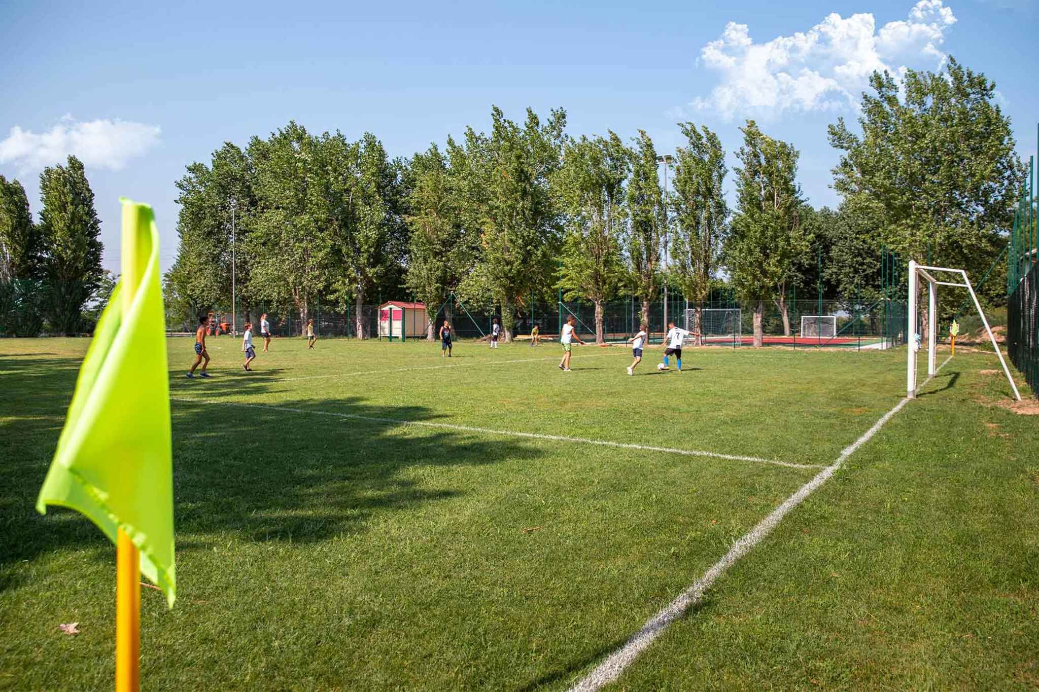 Sport court