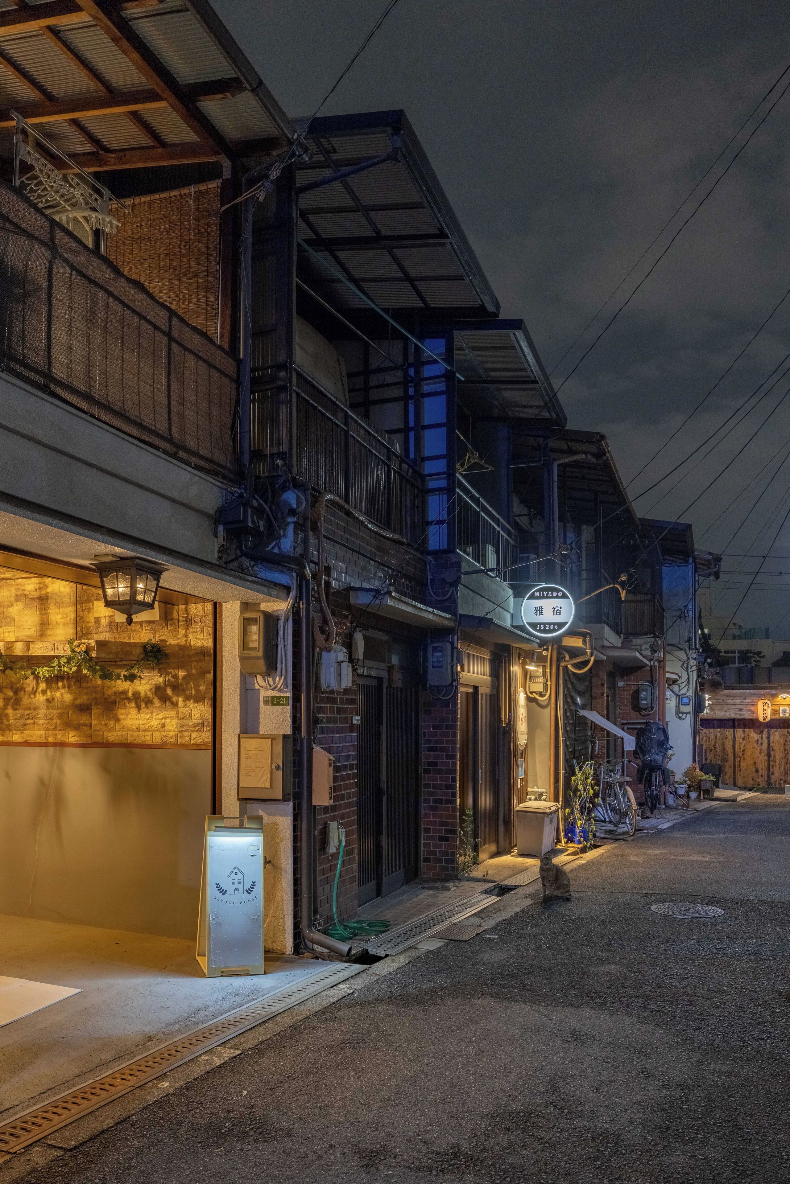 A street view at night with buildings, a visible sign, and a cat on the ground.