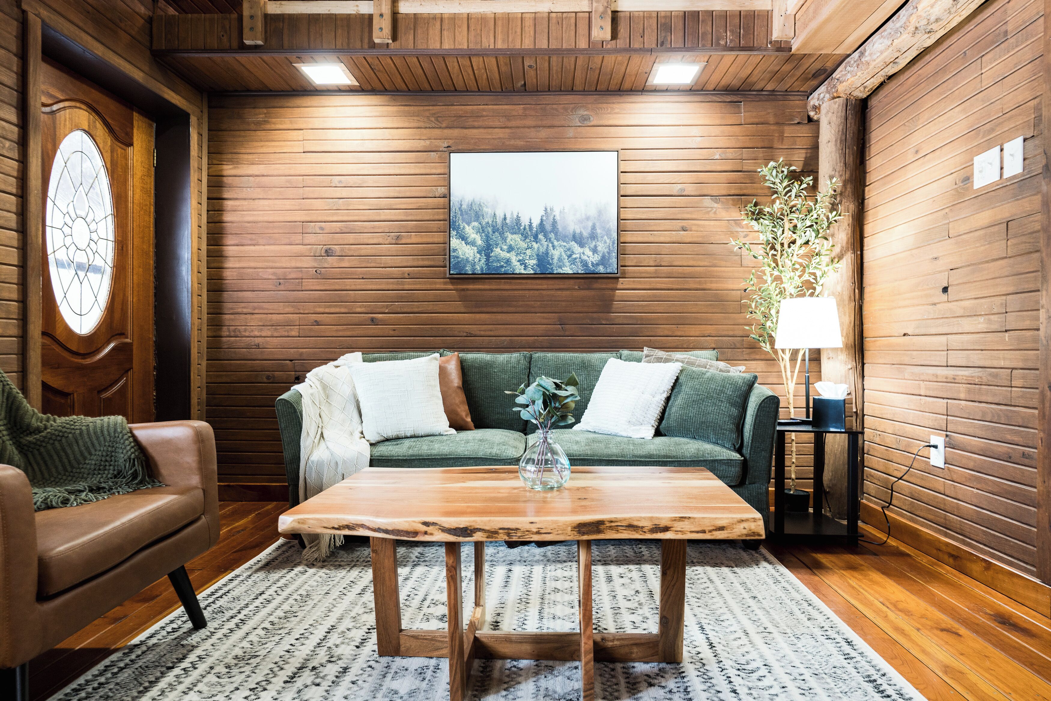 TV connectée, cheminée, livres