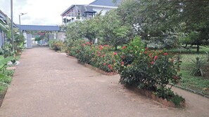 Bungalow Deluxe - utsikt mot trädgården