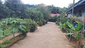 Khuôn viên nơi lưu trú