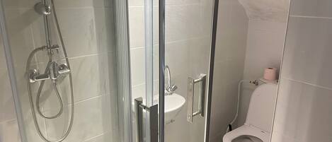 Ein modernes Badezimmer mit einer begehbaren Glasdusche, einem weißen Waschbecken und einer Toilette.