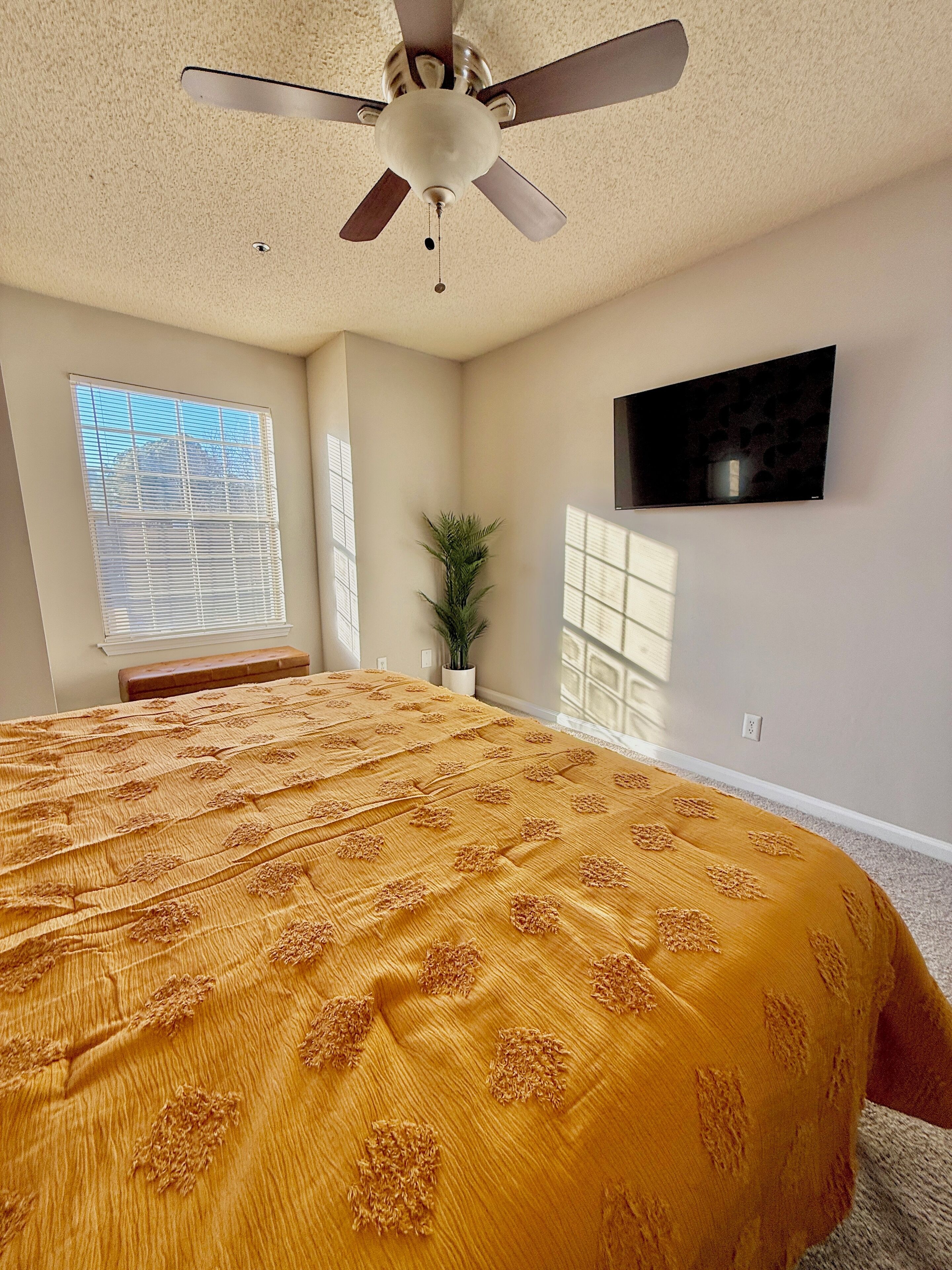 A bedroom with a bed, ceiling fan, window, potted plant, and TV.